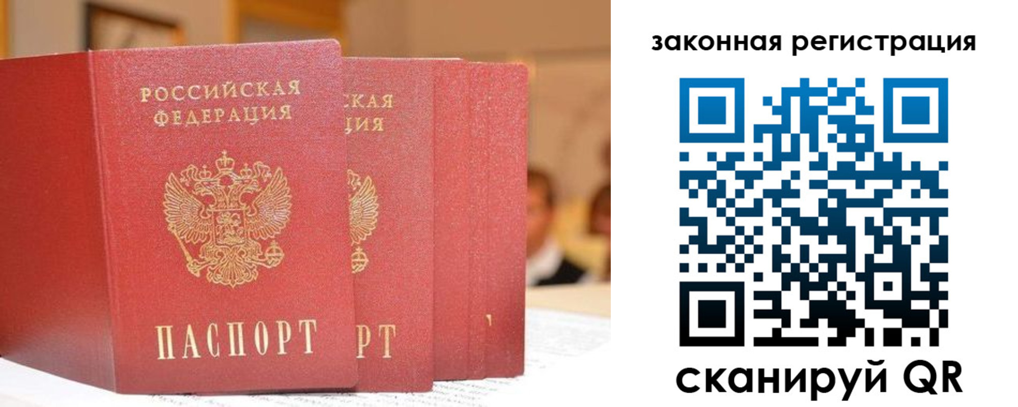 прописка поиск в Щёкино
